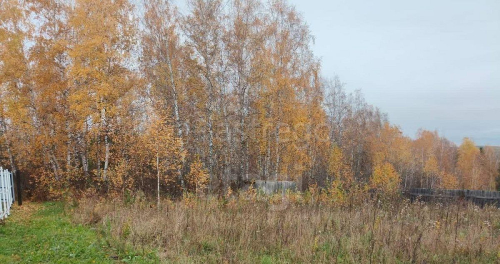 Земельный участок, 16.87 сотки Березовка - изображение 6