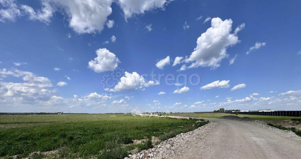 Коммерческий участок, 1 га Ногинск - изображение 3