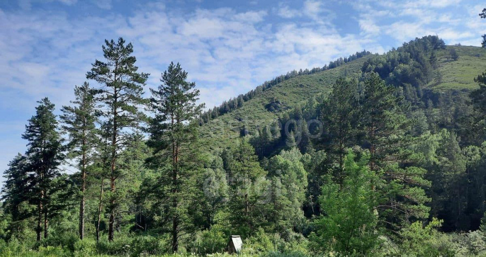 Земельный участок, 1.8 га Алтайское - изображение 6