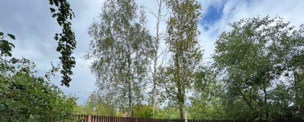 Дом, 34 м2, 12.6 сотки, 2 эт. Санкт-Петербург - изображение 5