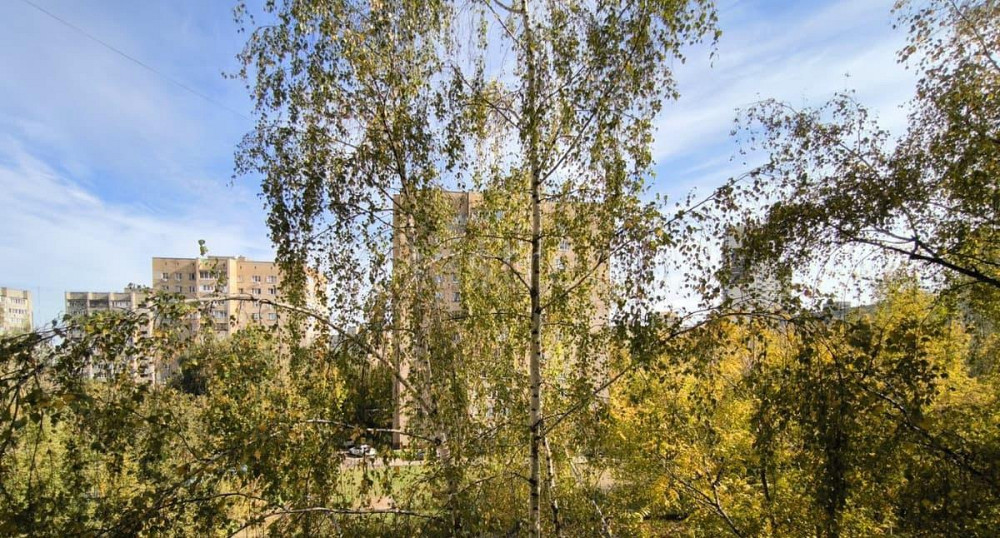 4-комн. квартира, 80 м2, 5/9 эт. Реутов - изображение 5