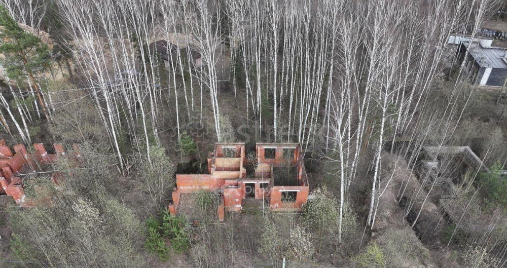 Дом, 270 м2, 19 соток, 2 эт. Электроугли - изображение 3