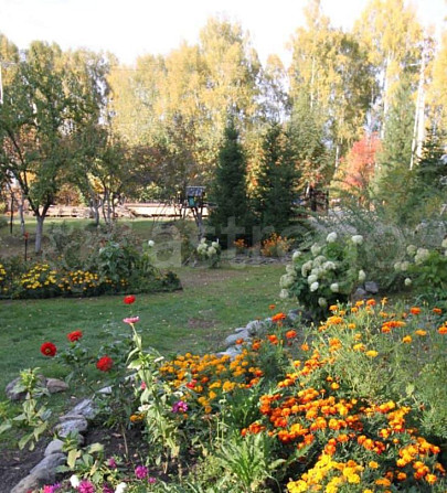 Коммерческий участок, 35 соток Алтайское - изображение 1