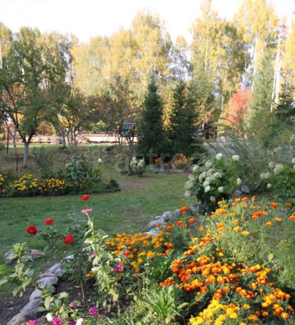 Коммерческий участок, 35 соток Алтайское - изображение 1
