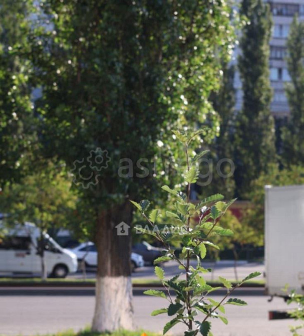 Офис, 93.1 м2 Старый Оскол - изображение 4