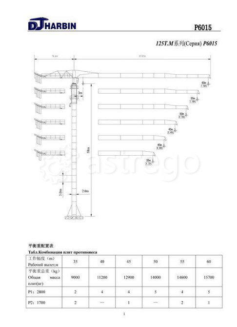 Башенный кран Dongjian QTZ125 (T5023) высота 89,8 м. Благовещенск - изображение 1