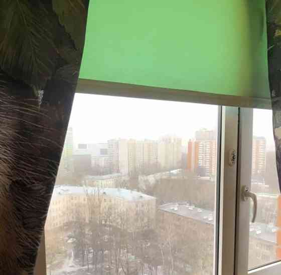 Комната, 12 м2, 14/17 эт. Москва