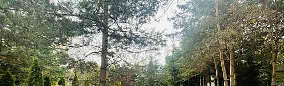 Коттедж, 340 м2, 17 соток, 2 эт. Звенигород