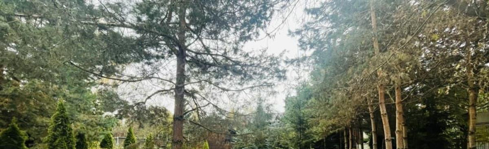 Коттедж, 340 м2, 17 соток, 2 эт. Звенигород - изображение 3