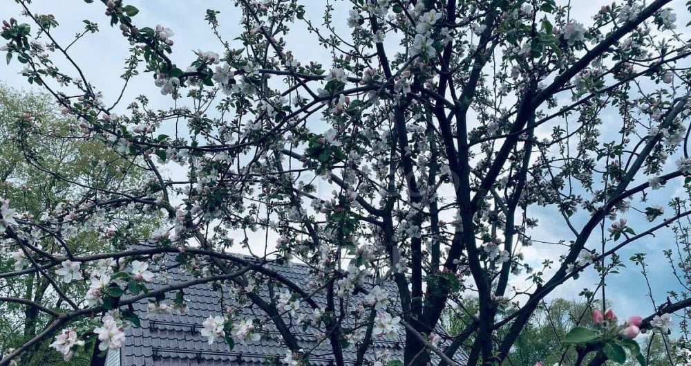 Дом, 70 м2, 10 соток, 1 эт. Иглино - изображение 1