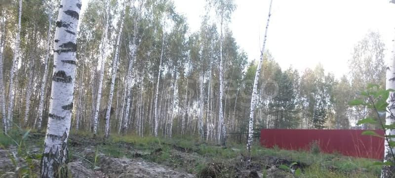 Земельный участок, 8.3 сотки Павловский Посад - изображение 9