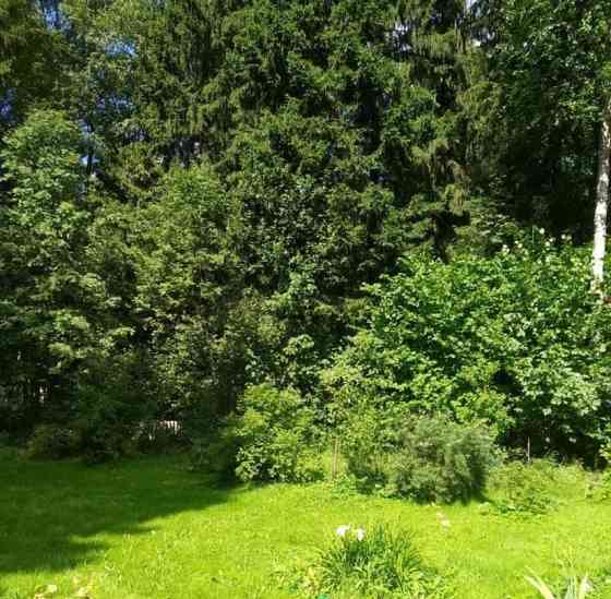 Земельный участок, 0.53 га Лобня