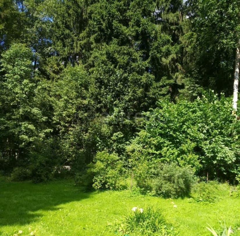 Земельный участок, 0.53 га Лобня - изображение 3