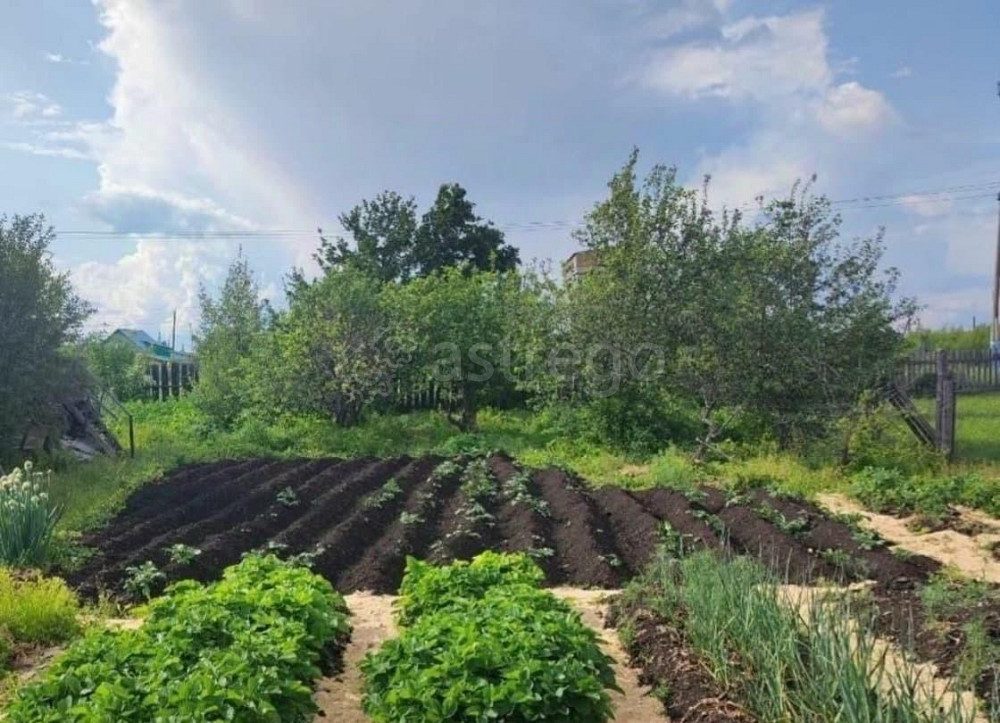 Дом, 60.8 м2, 14 соток, 1 эт. Учалы - изображение 4