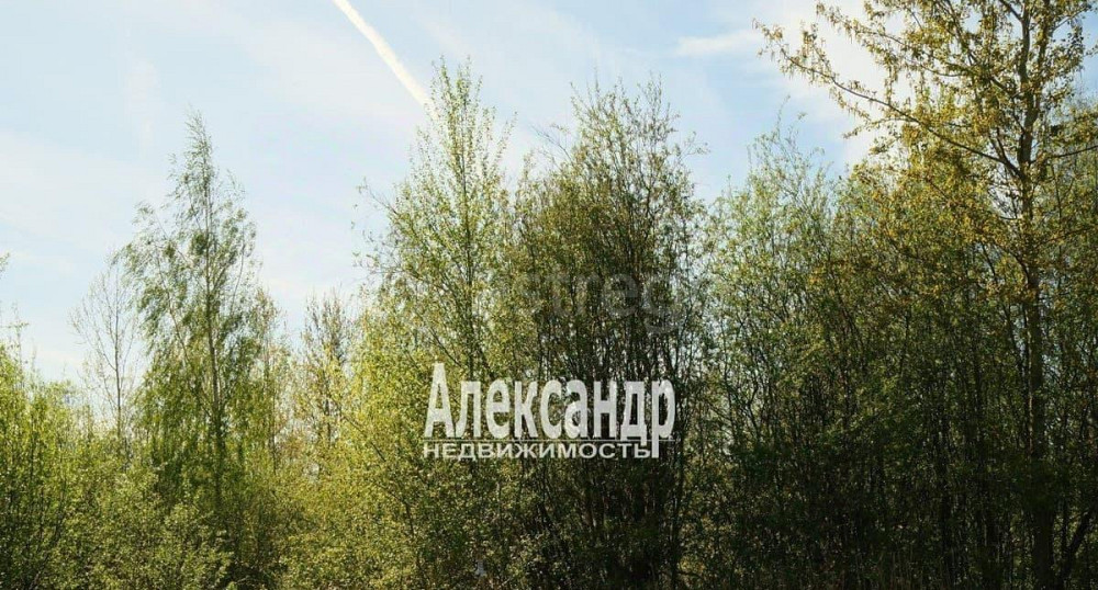 Земельный участок, 12 соток Санкт-Петербург - изображение 2