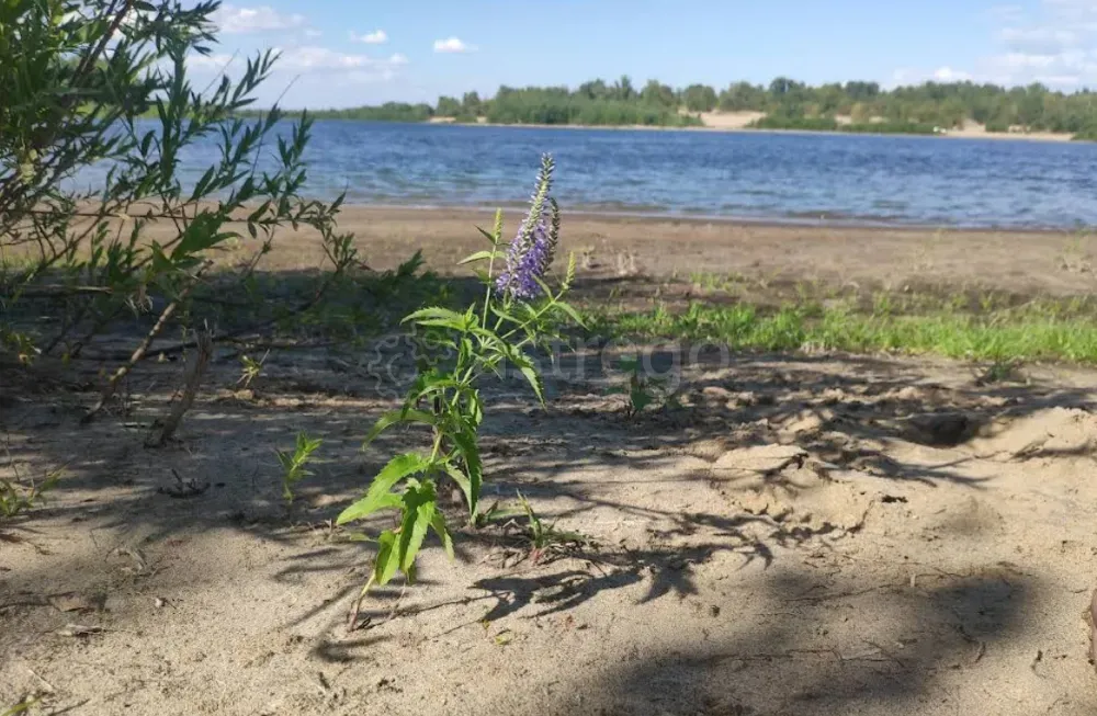 Продам участок, ИЖС, 25 сот. Волгоград - изображение 1