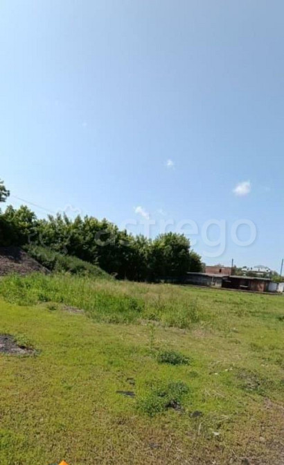 Земельный участок, 41 сотка Бийск - изображение 4