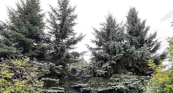 Коттедж, 164 м2, 18 соток, 2 эт. Красноярск