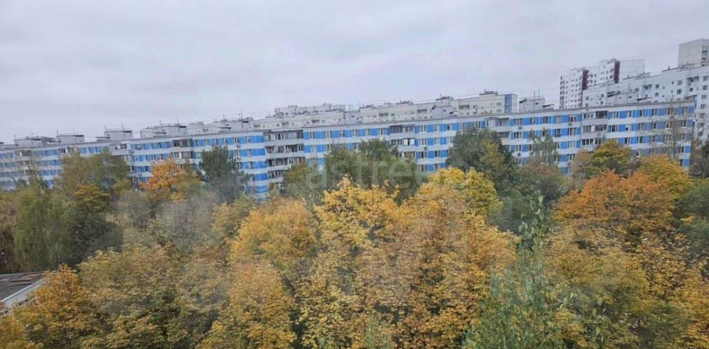 Комната, 24.4 м2, 9/9 эт. Москва - изображение 2
