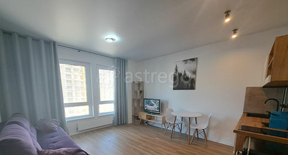 Студия, 28 м2, 10/33 эт. Москва - изображение 3