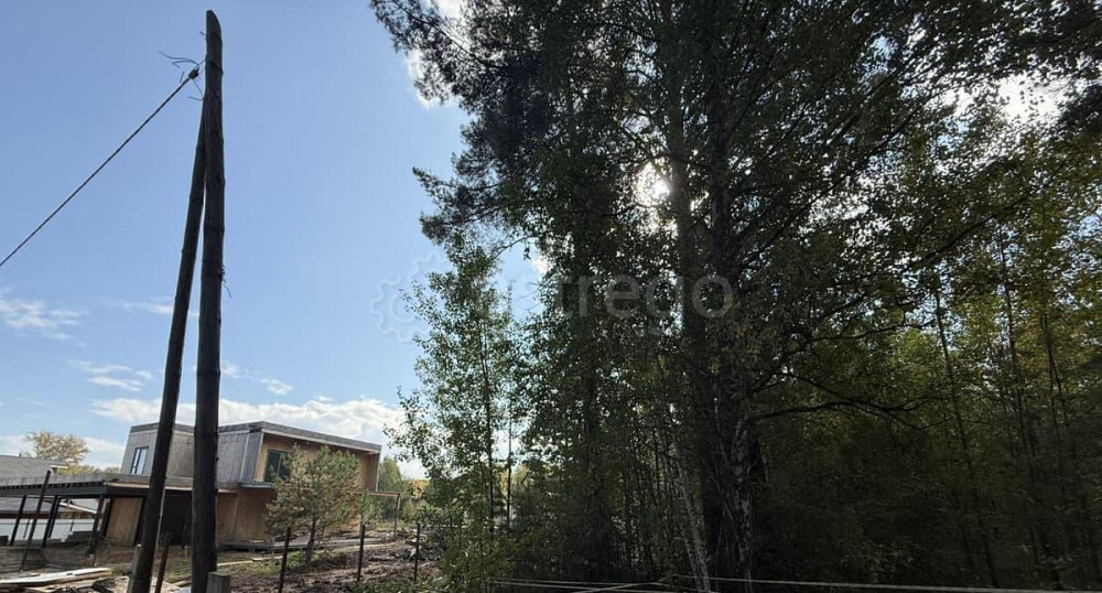 Земельный участок, 15 соток Красноярск - изображение 6