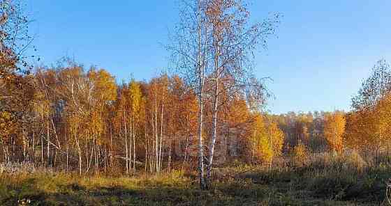 Земельный участок, 9.2 сотки Емельяново