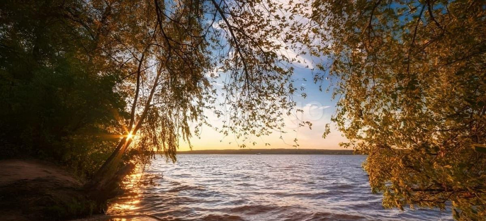 Земельный участок, 17 соток Долгопрудный - изображение 5