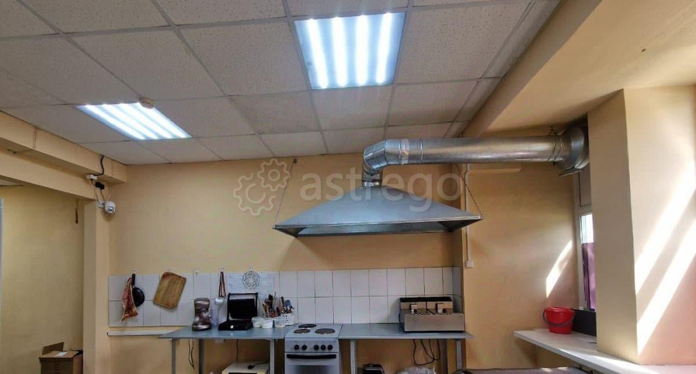 Свободного назначения, 42.5 м2 Рубцовск - изображение 3