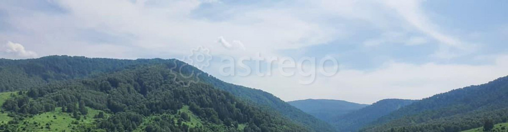 Земельный участок, 0.53 га Алтайское - изображение 1