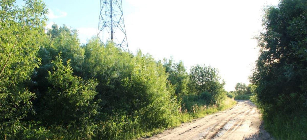 Земельный участок, 15 соток Архангельск - изображение 4