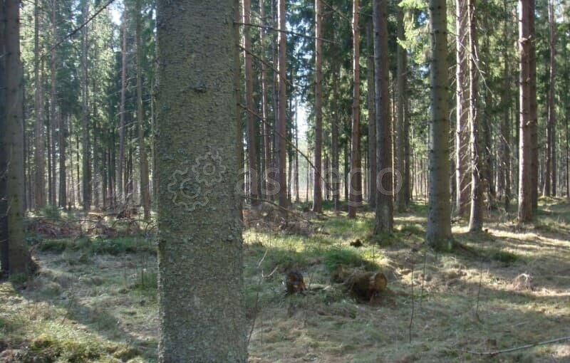 Земельный участок, 8 соток Павловский Посад - изображение 8