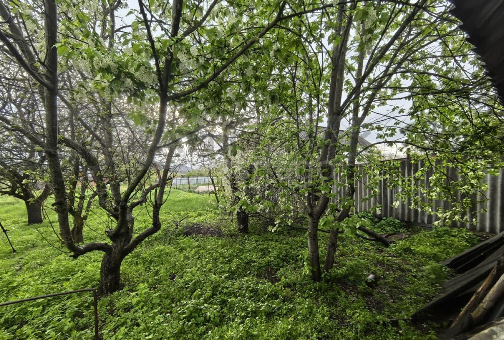 Дом, 59 м, 13 соток, 1 эт. Гиагинская - изображение 5