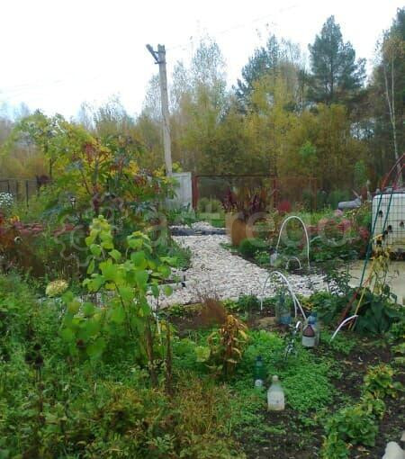 Дача, 101 м2, 11 соток Воскресенск - изображение 8