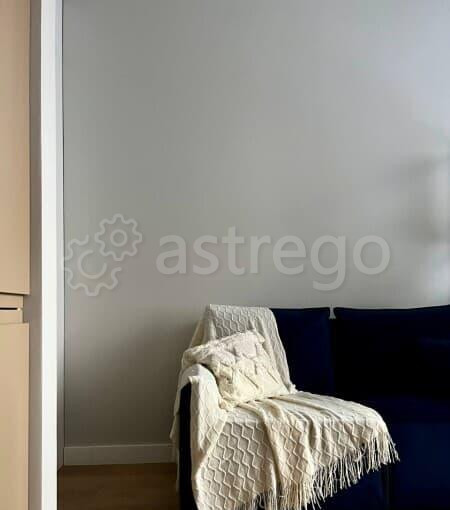 Студия, 25 м2, 2/19 эт. Москва - изображение 4