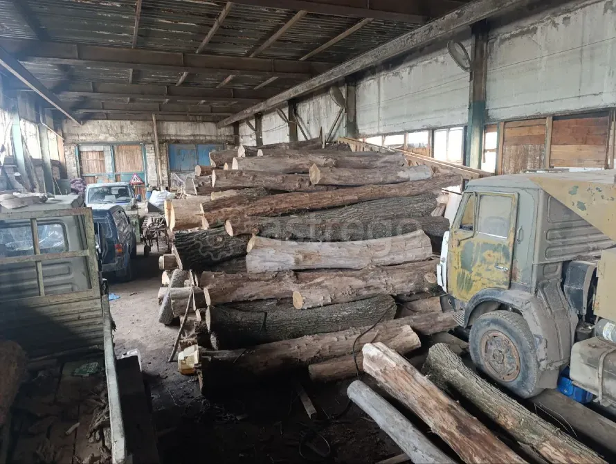 Столярная доска ценных пород Вяз, Гледичия, Акация, Абрикос и т. д. Таганрог - изображение 1