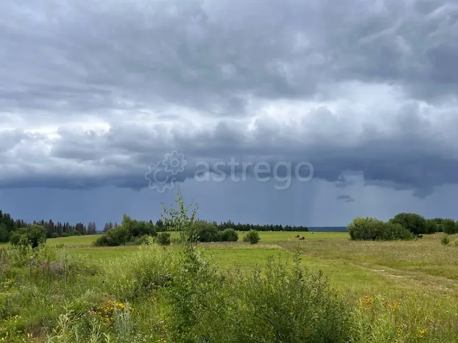 Продам участок, Фермерский, 30000 сот. Пермь - изображение 5