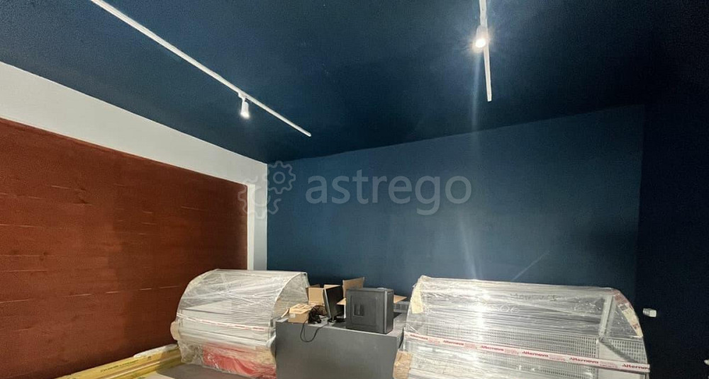 Торговое помещение, 65 м2 Сергиев Посад - изображение 5