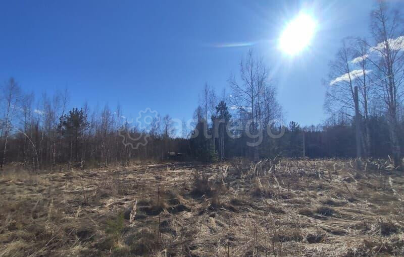 Земля под ИЖС, 16 соток Шатура - изображение 2