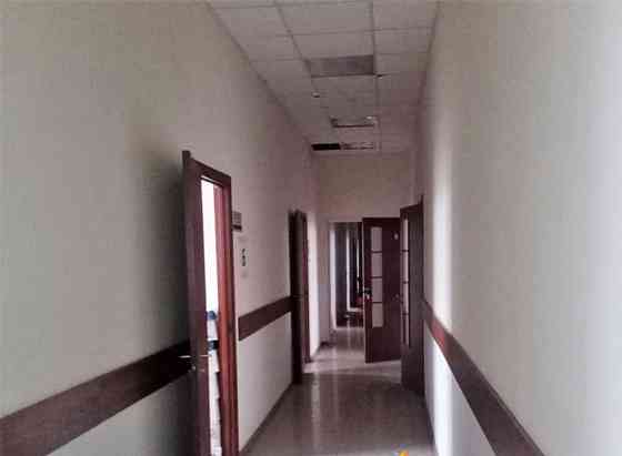 Офис, 405.9 м2 Барнаул