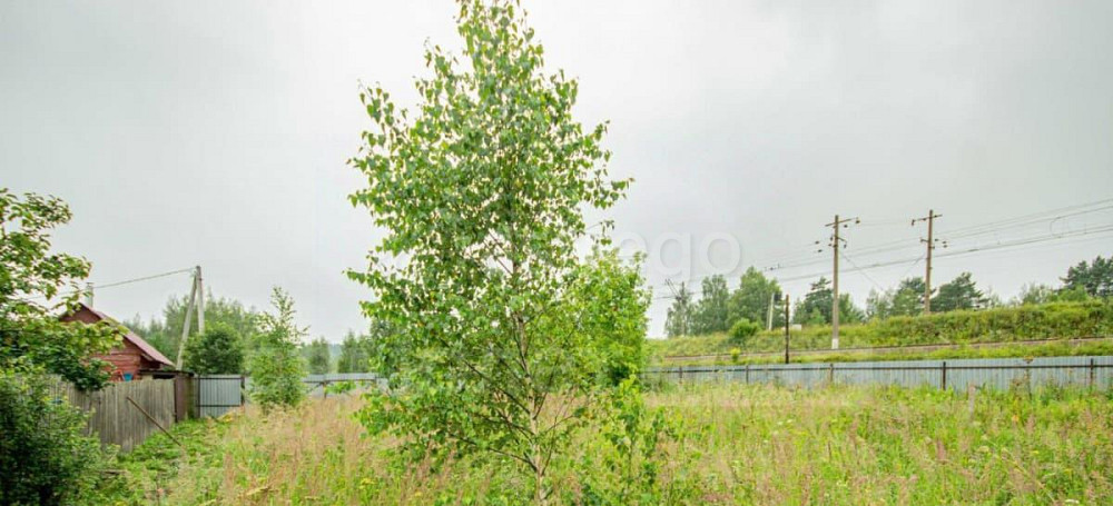 Земельный участок, 6 соток Звенигород - изображение 7