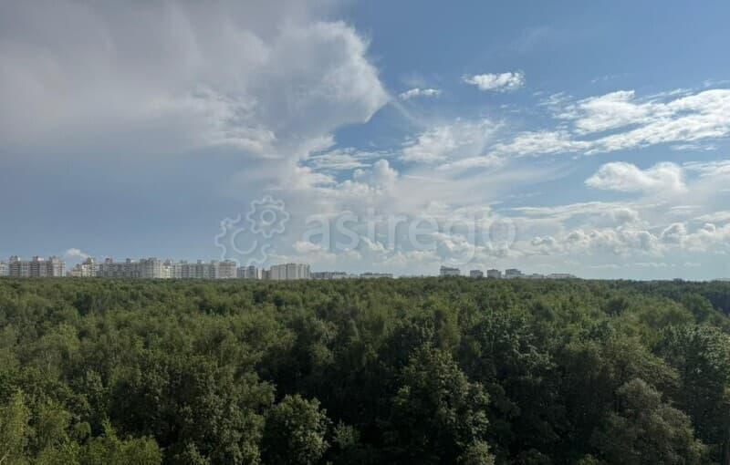 2-комн. квартира, 53.5 м2, 11/16 эт. Москва - изображение 7
