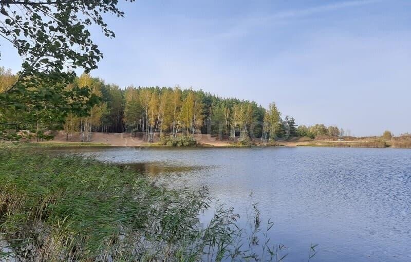 Земля под ИЖС, 8.5 сотки Павловский Посад - изображение 10