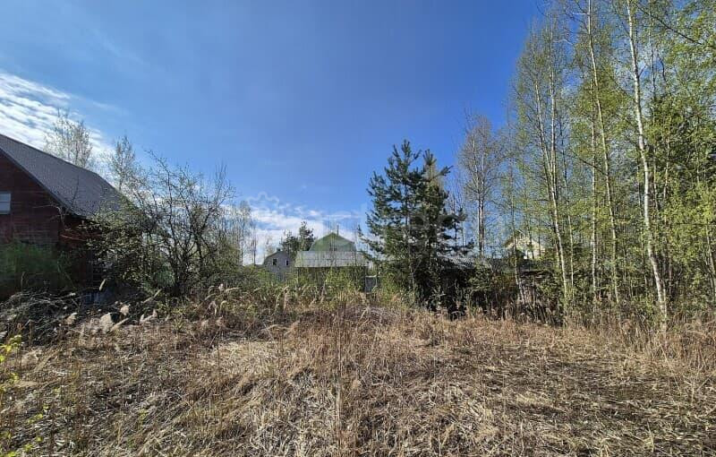 Земля с/х назначения, 4.52 сотки Электрогорск - изображение 3