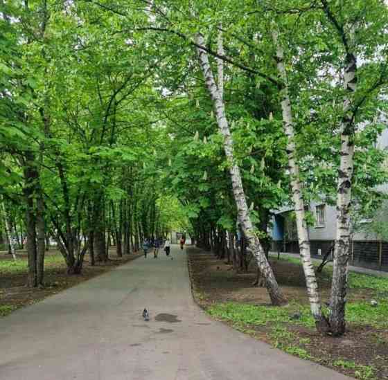 Комната, 17.2 м2, 4/12 эт. Москва