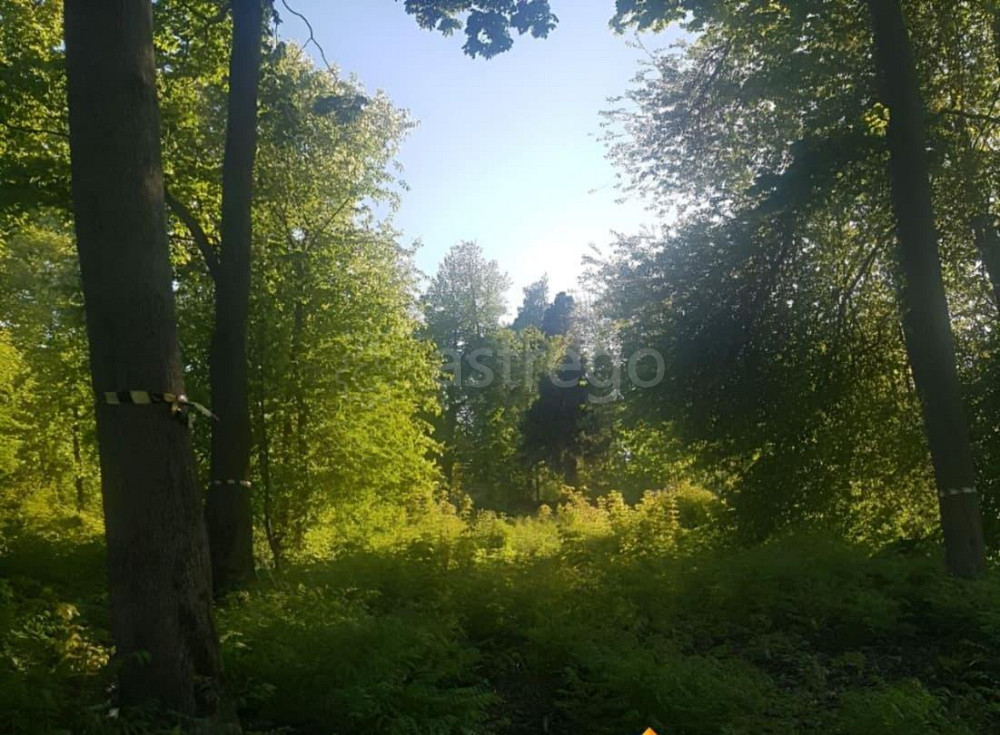 Земельный участок, 23 сотки Санкт-Петербург - изображение 3