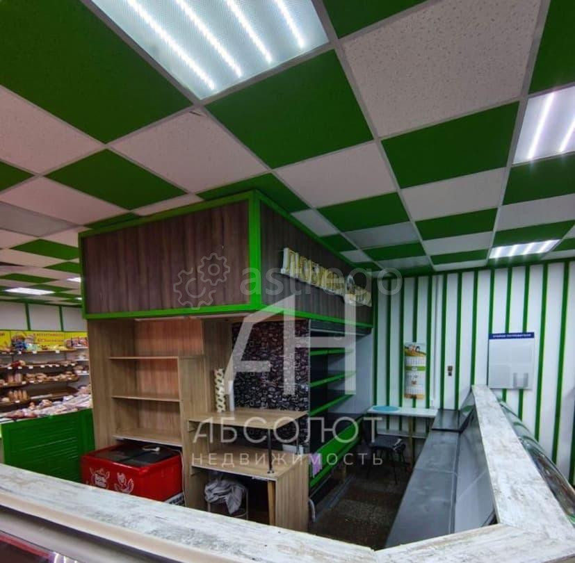 Торговое помещение, 25 м2 Пересвет - изображение 7