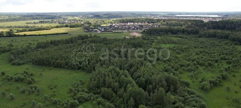 Земля с/х назначения, 50 га Можайск - изображение 8