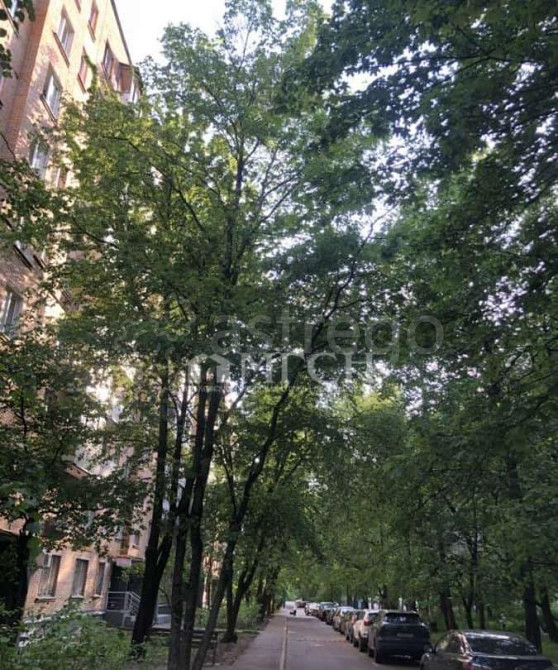 1-комн. квартира, 30.5 м2, 8/9 эт. Москва - изображение 2