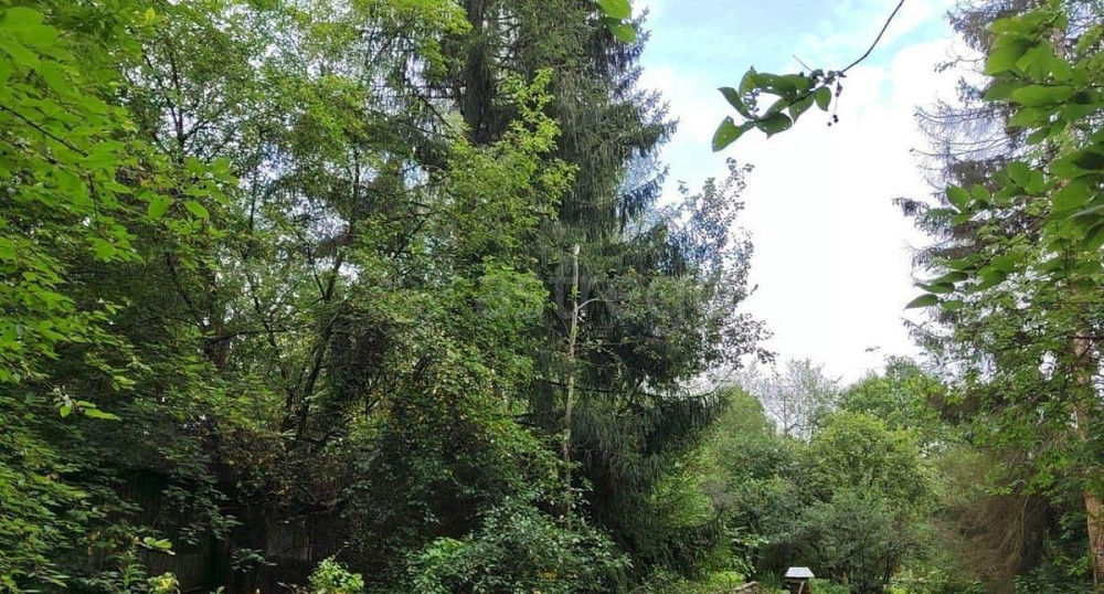 Земельный участок, 11 соток Щёлково - изображение 1