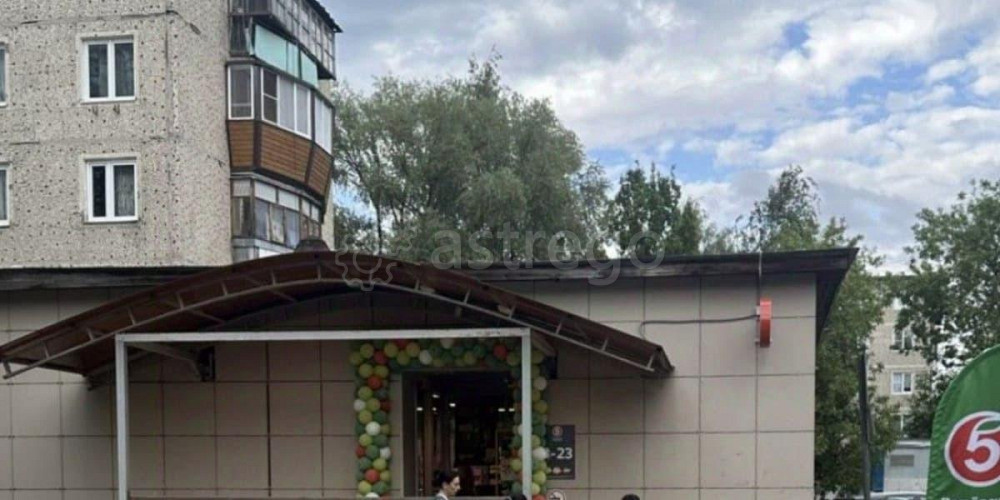 Торговое помещение, 474.1 м2 Солнечногорск - изображение 3